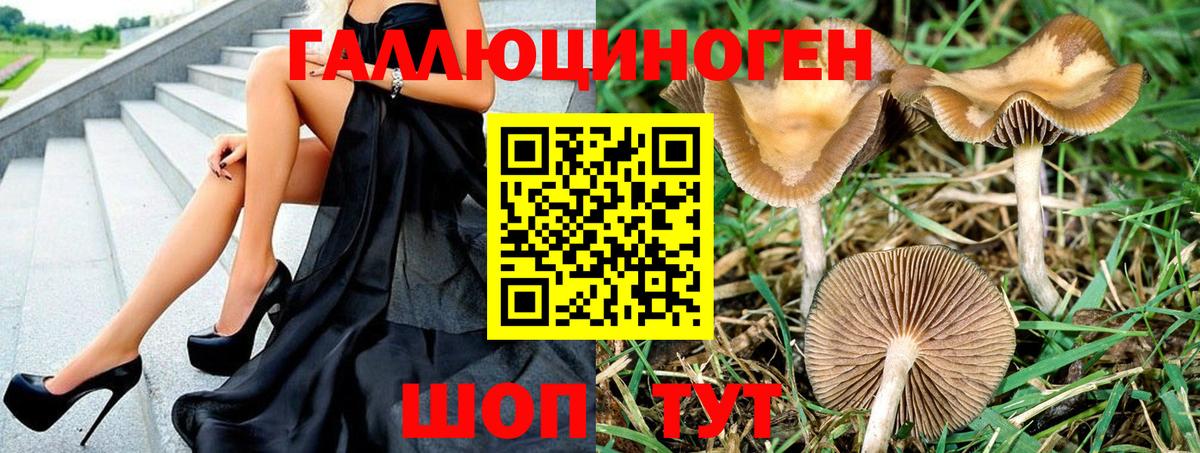 Верхний Уфалей  Псилоцибиновые грибы мицелий  Вход с VPN 